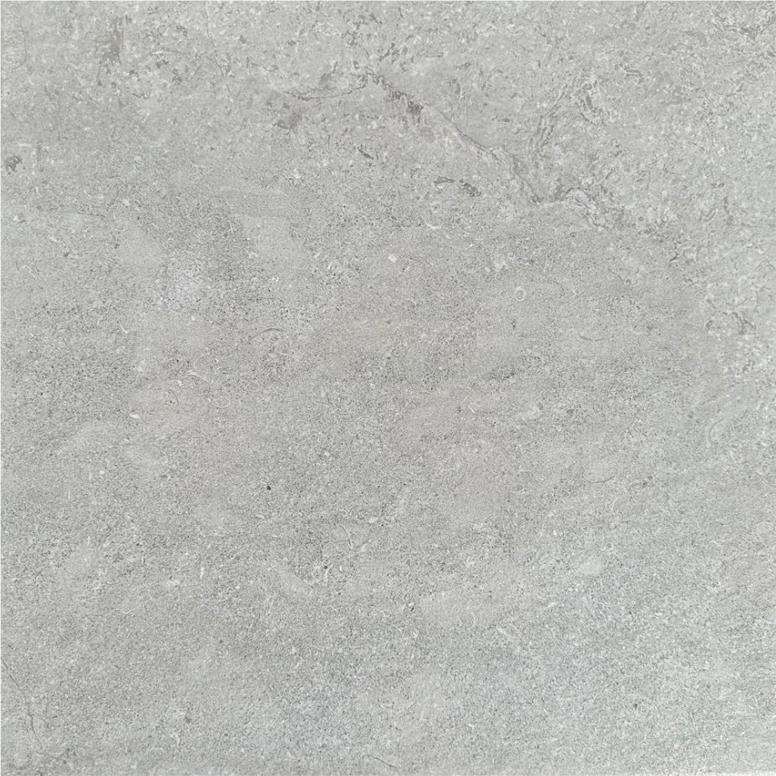 Timeless Ash Porcelain Indoor Porcelain Tiles