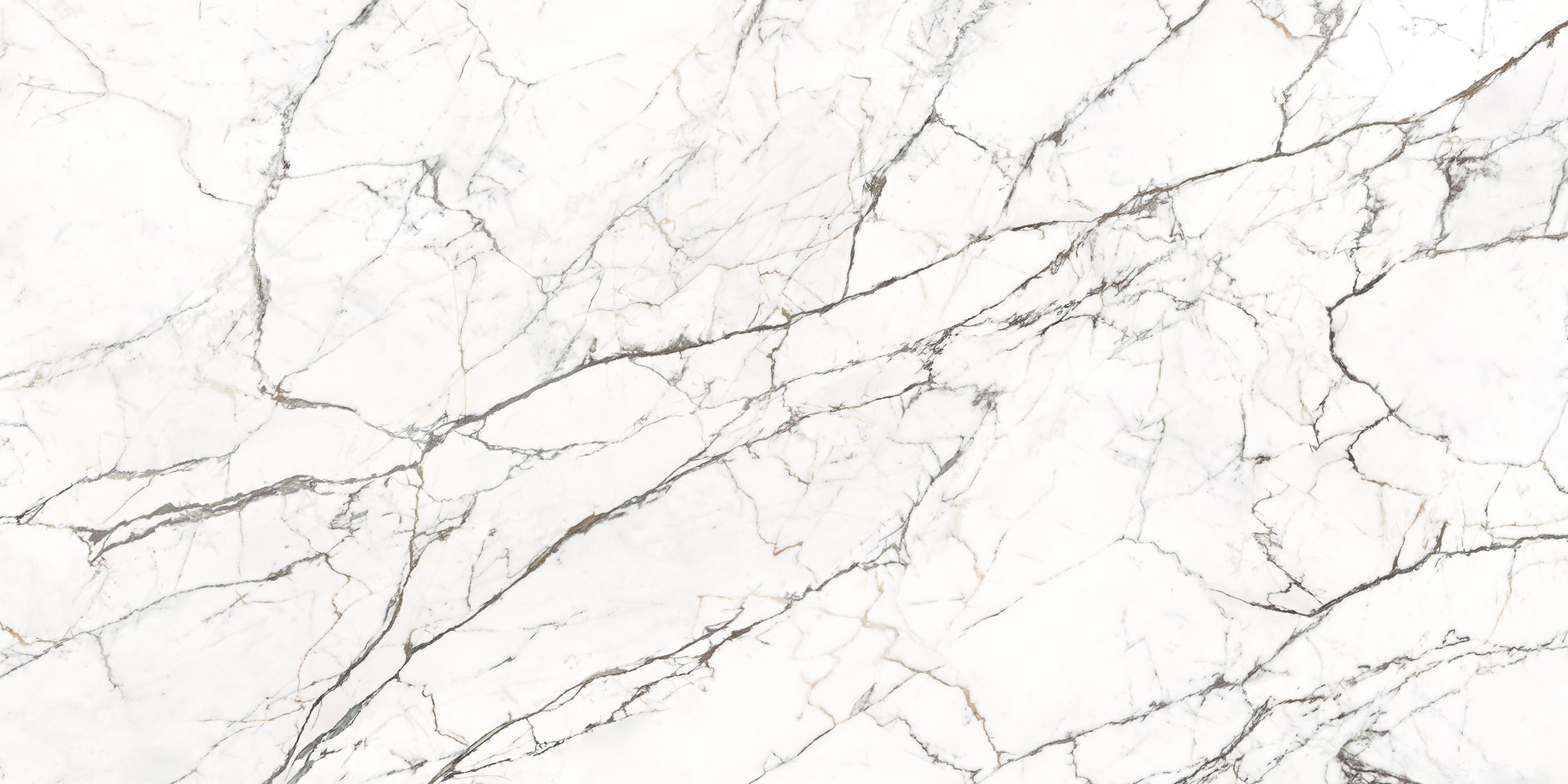 Statuario Spider Porcelain Slabs