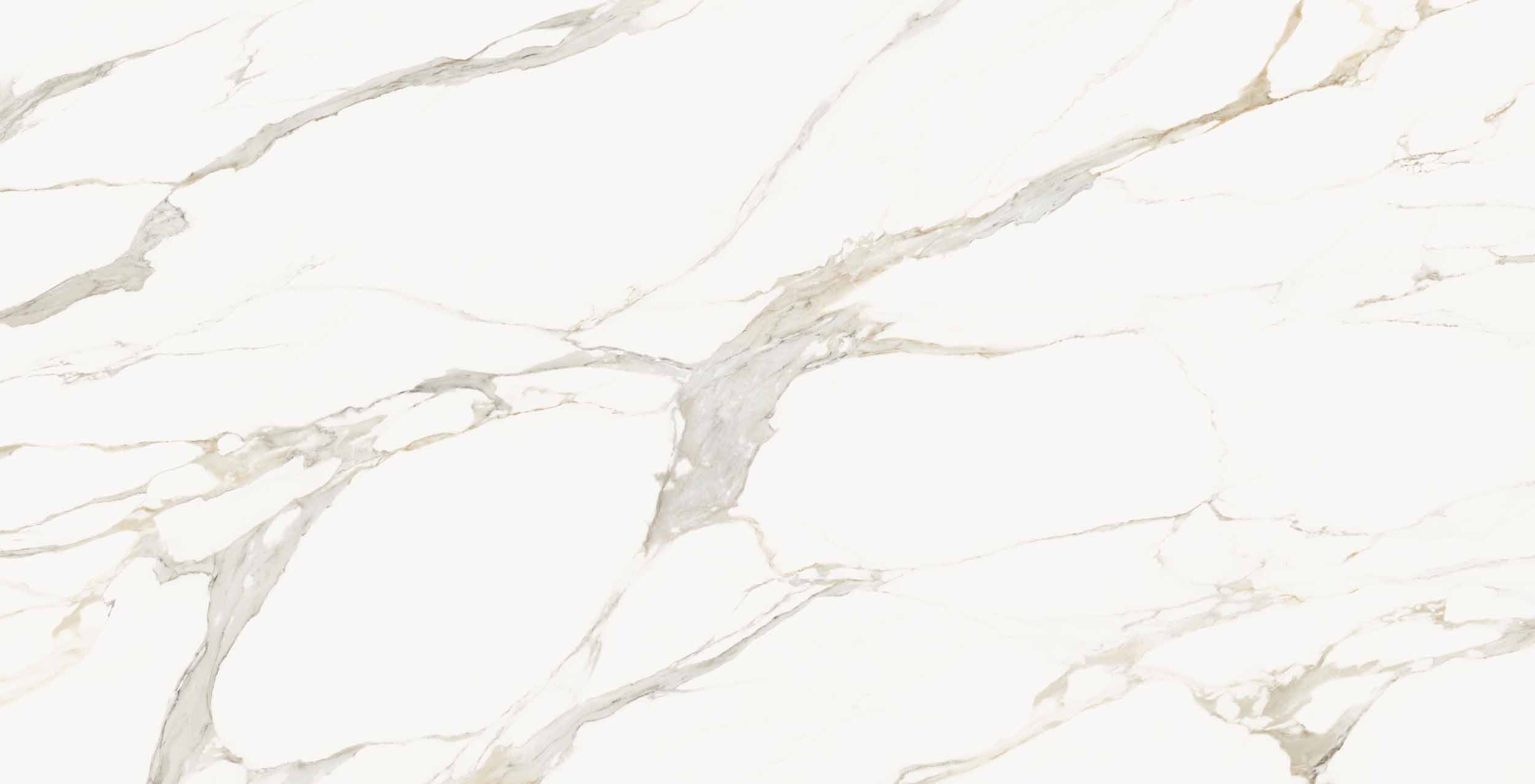 Calacatta Elegenza Porcelain slabs