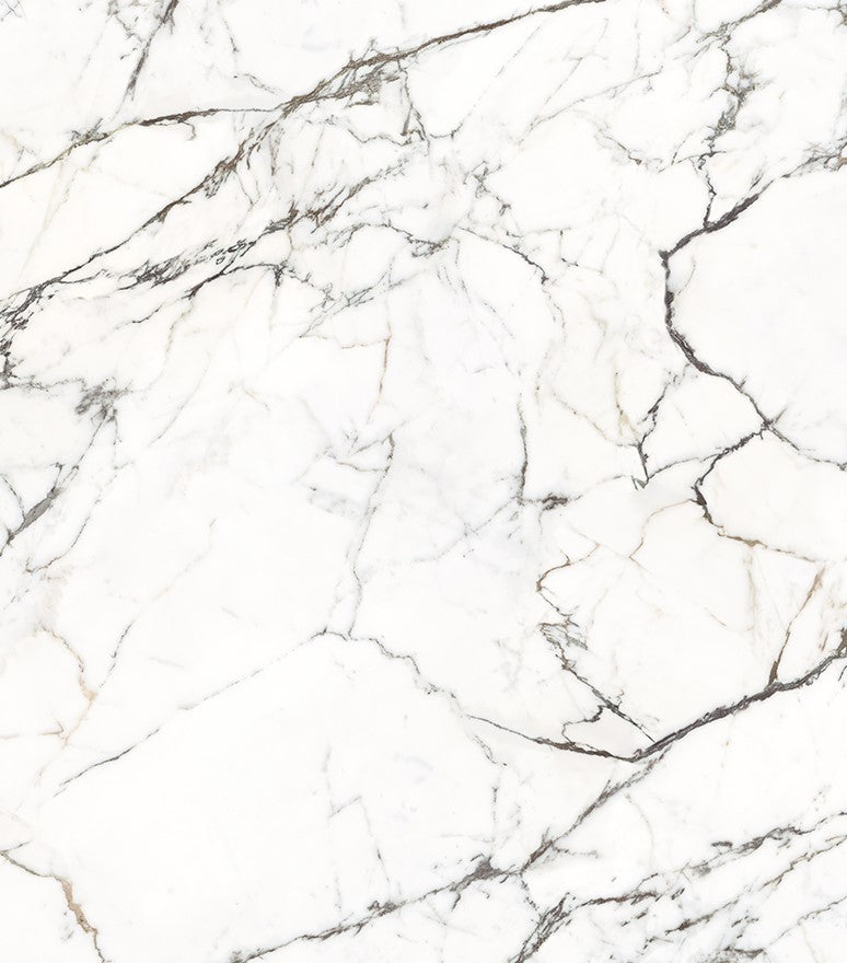 Statuario Spider Porcelain Slabs